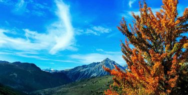 LA MONTAGNA, LA REGIONE PIEMONTE E LA STRATEGIA DEL CUCULO